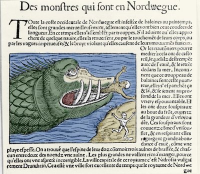 Ett marint monster slår en simmare nära Norges kust. Gravyr av Olaus Magnus (1490 - 1557), svensk religiös och geograf, "Historia de Gentis Septentrionalibus", Venedig av Unknown artist