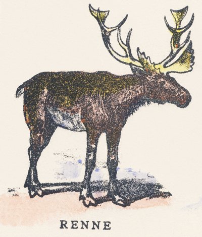 A: renar av Unknown artist