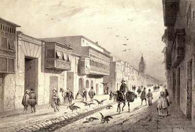 En gata i Valladolid i Lima, Peru. av Unknown artist