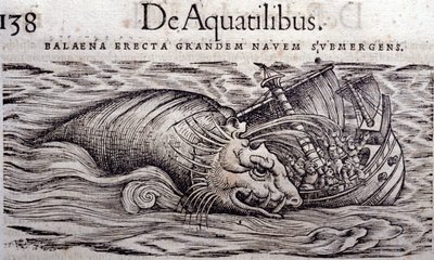 En val förstör en båts skrov och gör att den sjunker. Gravyr i Historia Animalium av Conrad Gesner (1516 - 1565), Tiguri av Unknown artist