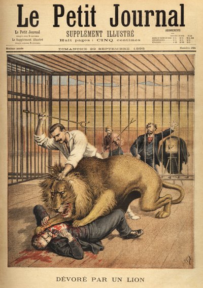 En ung man, som vill bli fotograferad i ett lejons bur, blir uppslukt, trots tämjarens ansträngningar att hålla lejonet. Gravyr i "" Le petit journal"" 1895-09-29. Selvas samling. av Unknown artist