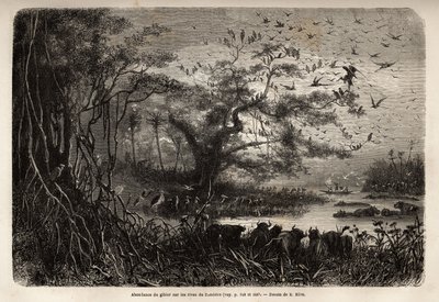 Överflöd av vilt på stranden av Zambese. Gravyr för att illustrera Dr. Livingstones första resor till södra Afrika från 1840 till 1856, i "Le tour du monde, nouveau journal des voyages"" publicerad under ledning av Edouard Charton av Unknown artist