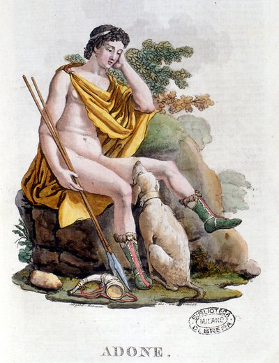 Adonis. Grekisk gud av feniciskt ursprung. 1800-talsgravyr. Biblioteca nazionale Braidense. Milano av Unknown artist
