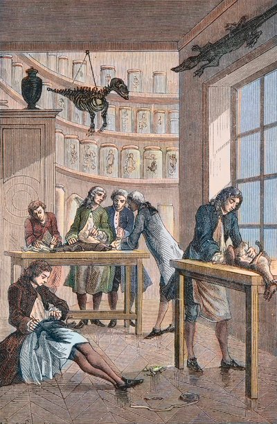 Albrecht von Haller (Albert de Haller) (1708-1777) i hans laboratorium Bern i Schweiz - Laboratoriet för den schweiziska läkaren Albrecht von Haller (1708-1777) i Bern av Unknown artist