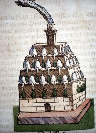 Alchemy: the Athanor Four från en bok av Pietro Andrea Mattioli (Matthiole) (1500-1577). Frankfurt av Unknown artist
