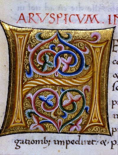 Alfabet: miniatyrbokstaven H av Unknown artist