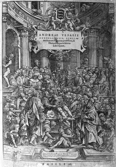 Anatomiskt rum. Frontispice av verket "Humani corporis fabrica libri septem 1543" av André Vésale (1514-1564), holländsk anatom (på latin: Andrea Vesalius, på holländska: Andries Van Wesel). av Unknown artist