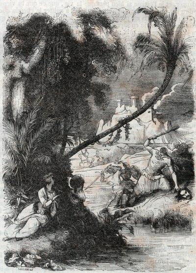 Slaget vid Griffon och Aquilant mot Orrile - gravyr från 1851 från "" Furious Roland"" (Orlando furioso) (1500-talet) av Ludovico Ariosto, känd som Ariosta - Upplaga översatt från italienska av greven av Tressan och publicerad av Gustave Harvard av Unknown artist