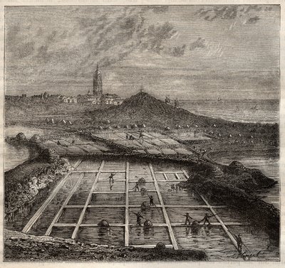 Batz sur Mer, Bretagne, Frankrike - Salttillverkning. Vy över en saltmark i västra Frankrike - gravyr i 