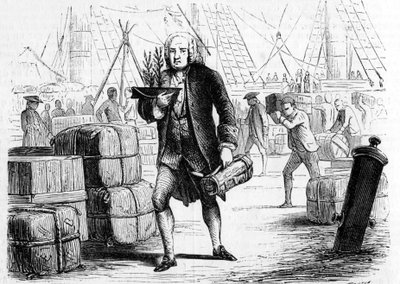 Bernard de JUSSIEU (1699-1777), fransk botaniker och naturforskare, rapporterande om cederträ från LIBANON. Gravyr 1856 av Unknown artist