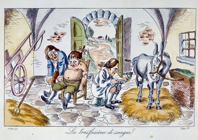 Blodtransfusion En läkare injicerar hästblod i en patient. Tecknad film från 1800-talets privata samling av Unknown artist