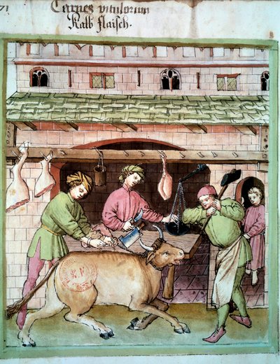 Slakt: slakt av en oxe. Belysning från mjölkning av medicin och diet "" Tacuinum sanitatis"" av Unknown artist