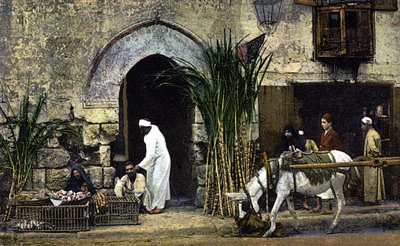 Försäljare av rörsocker. Kairo. Egypten. Vykort från början av 1900-talet. av Unknown Artist