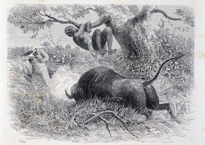 Kapten Speke jagar buffel - i "" Tour du Monde"" av Unknown artist