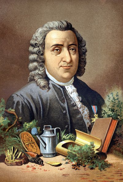 Carl Von Linné svensk naturforskare och författare (1707 - 1778) efter "Science and its Men" av Louis Figuier. Barcelona 1881 av Unknown artist