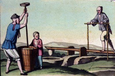 Kina, till vänster skalningen av ris och till höger regleringen av vatten för sticklingarna - i "The Old and Modern Costume"" av Jules Ferrario av Unknown artist