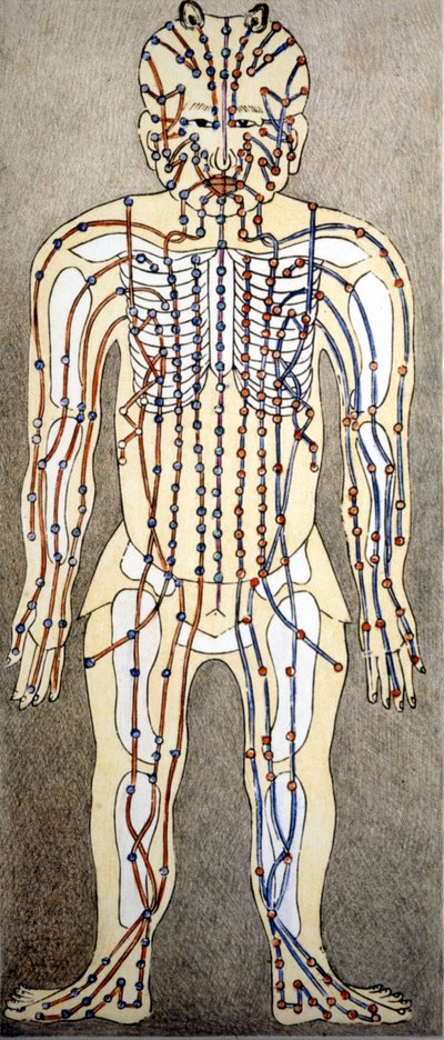 Kinesisk medicin. Strömmarna i kroppen där man ska applicera akupunktur. 1800-talet. av Unknown artist
