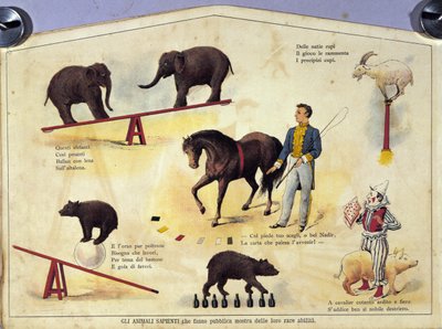 Cirkus: en tavla som representerar olika typer av uppvisningar av lärda djur med elefanter, en get, en björn, hästar och en gris. Illustration av 1800-talet av Unknown artist