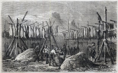 Torsktorkning i Fiskerness på Grönland - Torsktorkning i Fiskerness på Grönland Gravyr från "" The Illustrous Universe"" 1866 av Unknown artist