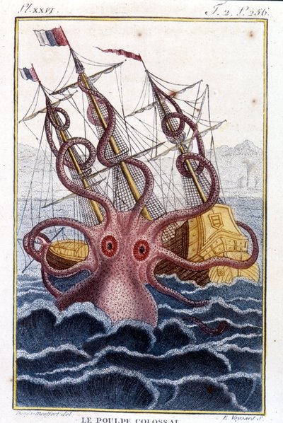 Kolossal bläckfisk (bläckfisk, jättebläckfisk, kraken) attackerar ett skepp (skepp, skepp) - gravering av boken av Pierre Denys-Montfort (Denys de Montfort 1766-1820) "" Histoire naturelle des mollusques", originalutgåva från 1802) - av Unknown artist