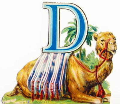 D: Dromedar av Unknown artist