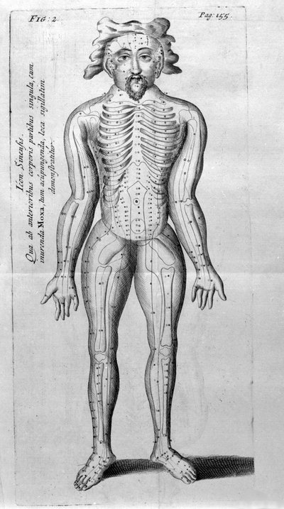De Acupunctura av W.Ten Rhijn. London 1683. Första västerländska text som handlar om akupunktur. av Unknown artist