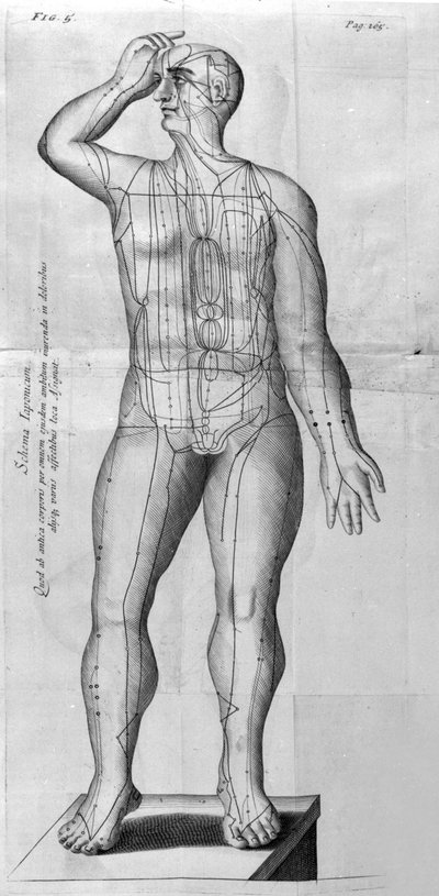 De Acupunctura av W.Ten Rhijn. London 1683. Första västerländska text som handlar om akupunktur. av Unknown artist
