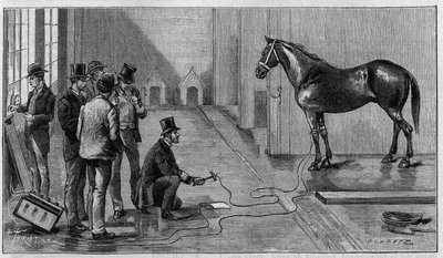 Death by Electricite: en häst dödar av electricite under ett experiment utfört på Laboratory of Edison, Orange (USA). Gravyr i "" La Nature: revue des sciences et de leurs applications aux arts et a l