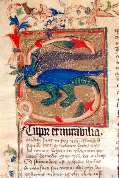 Dragon Decoree Lettrine Detalj av 1300-talsmanuskript av Unknown artist
