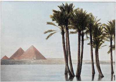Egypten: floden Nilen och pyramiderna i Giza (Gizeh, Gizeh, Giza). av Unknown artist