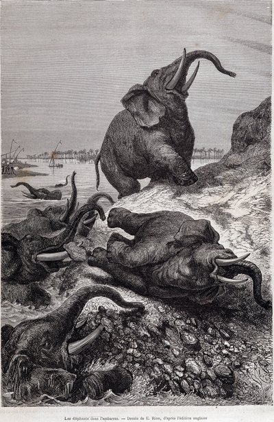Elefanter som klättrar på stranden av en flod, på grund av en expedition till Centralafrika på uppdrag av Sir Samuel White Baker, "Tour du monde" av Unknown artist