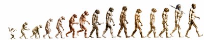 Evolution: Jämförelse av morfologier från apan till den nuvarande människan (olika hominider). Slutgravyr av 1800-talet. av Unknown artist
