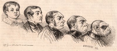 Evolution av ett barn till vuxen ålder och degeneration av den vuxna till att vara ett odjur av Unknown