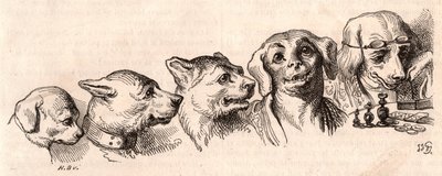 Evolution av en hund till en mänsklig form av Unknown