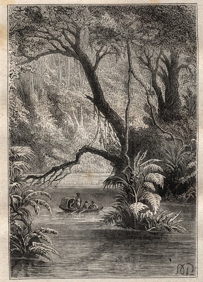 Expedition till Amerika (1799-1804) av Alexander von Humboldt (1769-1859) och Aime Bonpland (1773-1858): upptäcktsresandena går ner till Orenoque, omgivna av Amazonas gigantiska träd (Cano Pimichin, Venezuela) - illustration tagen från "The Great av Unknown artist