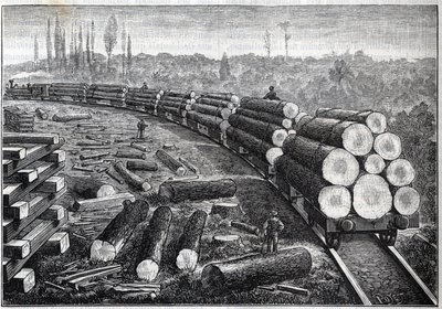 Exploatering av USA:s skogar. Tillfälliga järnvägar med träspår. Vagnar som bär trädstammar. Gravyr i "" La Nature"" av Unknown artist