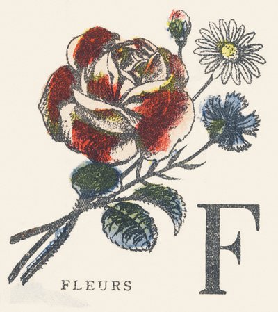 F: blommor av Unknown artist