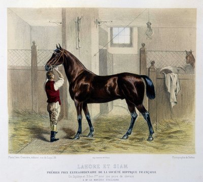 Berömda kapplöpningshästar i ""Kentauren"" 1866 av Unknown artist