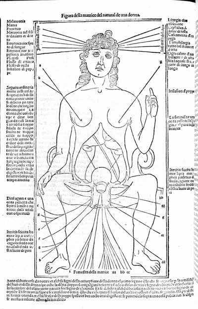 Kvinnlig reproduktionsapparat - i Treatise of Medicine av Gerolamo Cardano (Cardano) (Cardanus Hieronymus), Florens 1585. av Unknown artist