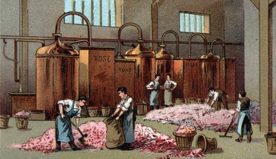 Blomsterdestilleri för produktion av bensin och vatten från Flowers. Kromolitografi från slutet av 1800-talet av Unknown artist