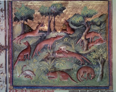 Rävjakt fjäderfä. Miniatyr från manuskriptet "" Le livre de la chasse"" (folio 34v) av Gaston Phoebus (1331-1391) dit Gaston III Comte De Foix av Unknown artist