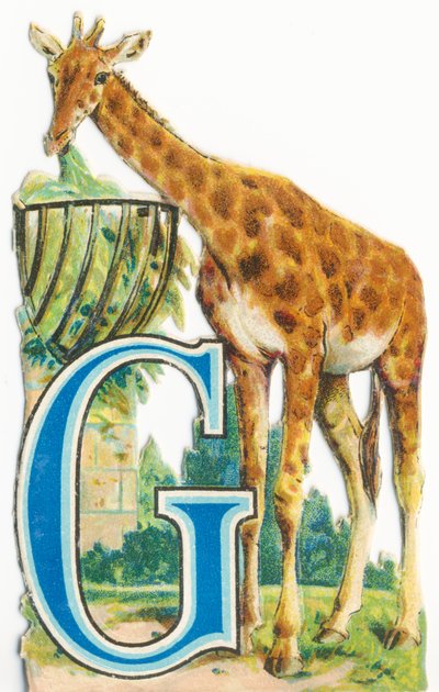 G: Girafgift av Unknown artist