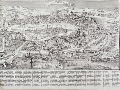 Allmän vy över staden Wien med detaljer om huvudbyggnaderna och monumenten. Österrike Gravyr från 1800 privatsamling av Unknown artist