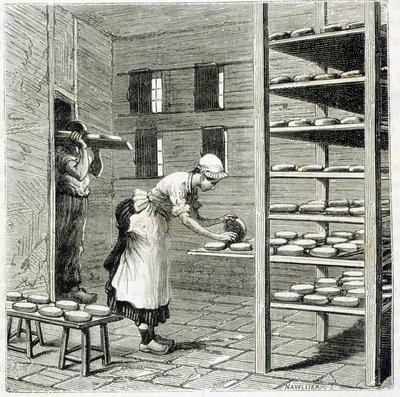 Haloir (eller torktumlare) för tillverkning av camembertost - i "" The wonders of the industry"" av Louis Figuier av Unknown artist