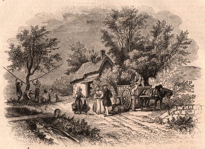 Skörd av äpplen i Normandie, Frankrike av Unknown