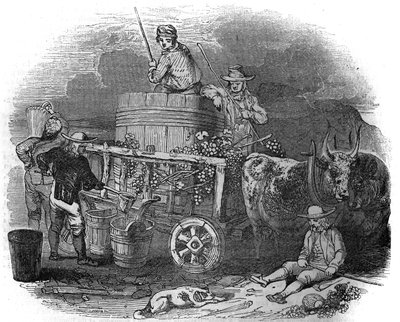 Skördare i Pola (Pula) (Istrien) i Kroatien på 1800-talet. av Unknown artist
