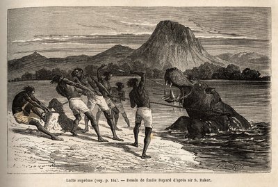 Flodhästjakt med Houarti-stammen, med harpuner och spjut, det rasande djuret laddar och gör motstånd. Gravyr för att illustrera utforskningen av Nilens abessiniska bifloder, av Sir Samuel W. Baker, 1861-62, publicerad i "" Le tour du monde"" 1 av Unknown artist