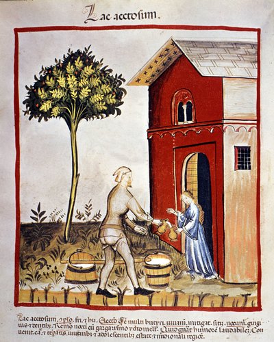 Mejeriprodukters historia: distribution av yoghurt (acetosium lake). Belysning från "Tacuinum sanitatis" av Unknown artist