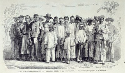 De franska koloniernas historia: Kinesiska immigranter som arbetar i Guadeloupe. Teckning efter fotografi av Chartres musee des Beaux Arts från det sena 1800-talet av Unknown artist