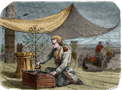 Kaféets historia: Kapten Gabriel de Clieu (Declieux, Desclieux) (1687/1678 - cirka 1774), på uppdrag av kung Ludvig XIV 1725 att föra tillbaka en kaffeplanta (kaffebryggare) till Martinique, delar med sig av sin ranson med vatten för att rädda honom från a av Unknown artist